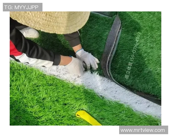 足球场养护全攻略提升草坪质量与比赛体验的有效方法与技巧